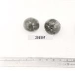 Click for 1 image(s) for this accession. FRUIT